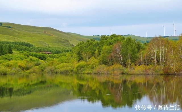 七彩森林|七夕网红打卡地，去七彩森林看坝上绝美风景