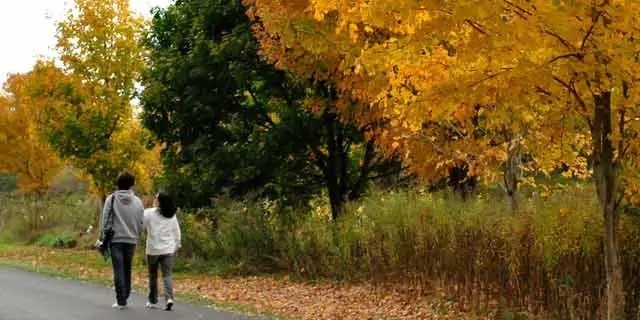 乌龙茶|大吃大喝之后不想长胖，关键走好这两步！