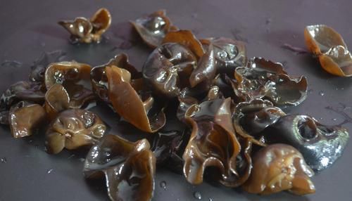  泡木耳，很多人第一步就错了，饭店厨房教我一诀窍，泡的又大又软