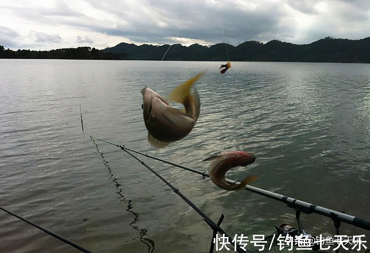 早春钓鱼就选这三种绝佳“天气”,不但上钩率高,渔获也有保证
