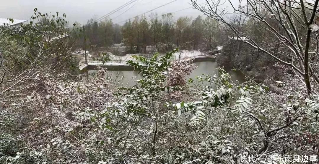 路段实施|凯里小高山一夜白头 最美雪景如约而至