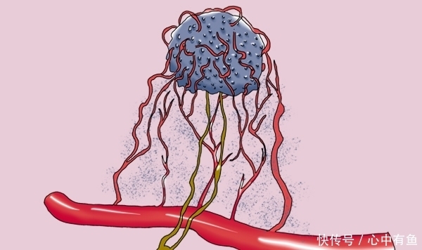 不经常感冒、发烧的人，更容易得大病，是真的还是谣言？