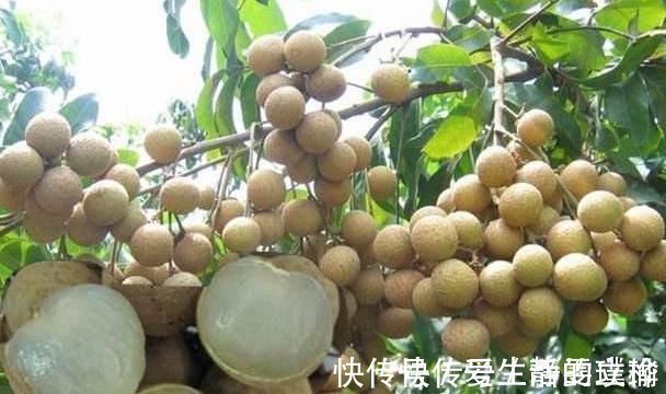 血管|人到中年想长寿,推荐3类食物,养颜抗衰,疏通血管,增强体质