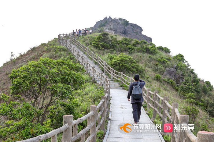 禾雀花|夏日登游银瓶山 畅享大自然“森”呼吸