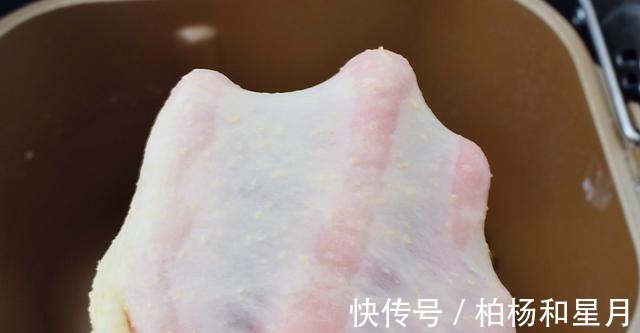 吐司|在家做全麦吐司,好吃不怕胖,制作简单还健康!