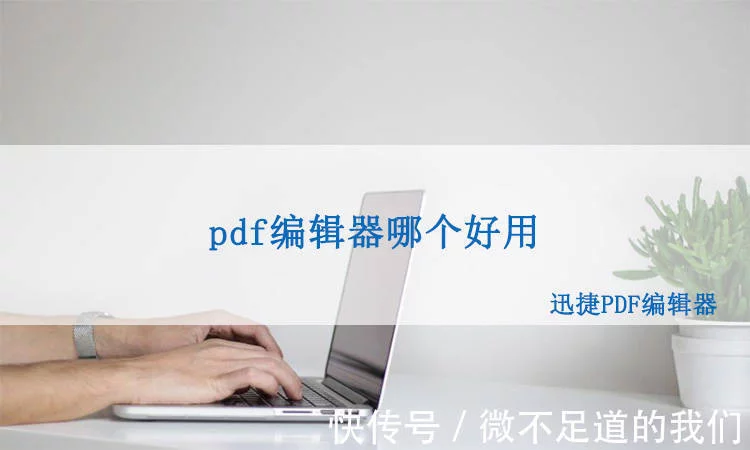 pdf编辑工具哪个简单好用?插图 pdf编辑工具哪个简单好用?插图