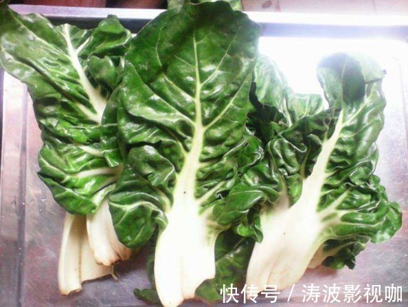 牛皮菜|洋葱大蒜靠边站，秋季最“厉害”的是它，滋养皮肤，抗衰老