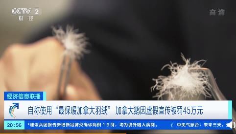 羽绒|加拿大鹅最保暖羽绒为虚假广告！动辄上万元一件，媒体：在中国经营就要遵守中国法律