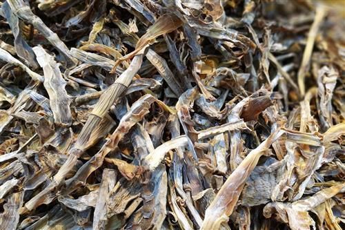 肝脏|虽其貌不扬,却是肝病的“克星”,每天吃一点或可促进身体排毒