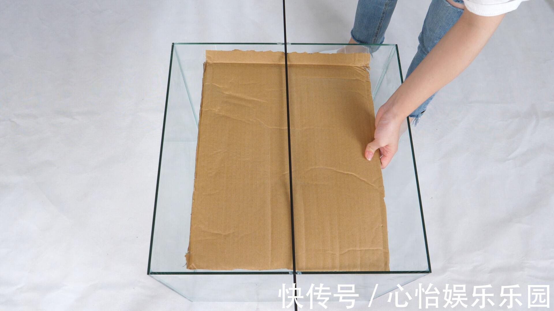 玻璃缸|家里有老鼠别急,把它放角落里,来多少抓多少,好方法简单实用