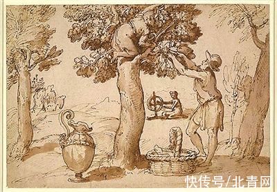 意大利文$去看文艺复兴大师的纸上绘画