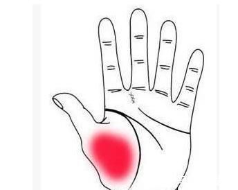 足三里穴|能长寿的人，身体三处会“鼓”起来，看看自己有没有！