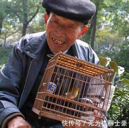 玩物丧志|为什么钓鱼穷三年, 玩鸟毁一生 其实主要想表达一个意思
