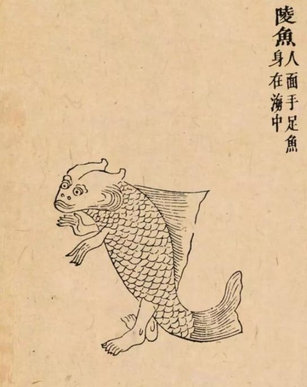 祸害|同样是九尾狐,涂山九尾狐成就一个王朝,青丘九尾狐祸害一个王朝