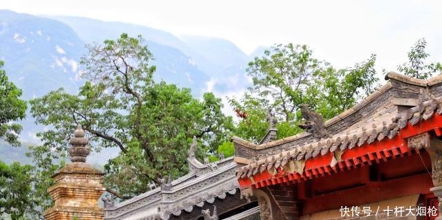 教亨和尚说|皇帝御驾亲征都无法退敌,少林寺神秘僧人竟然用它赢得胜利!