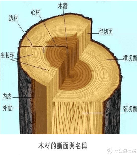 实木|【避坑必看】买实木家具，你想清楚了吗？7个常见问题详解！低价就更值吗？实木有甲醛吗？气味大啥原因？