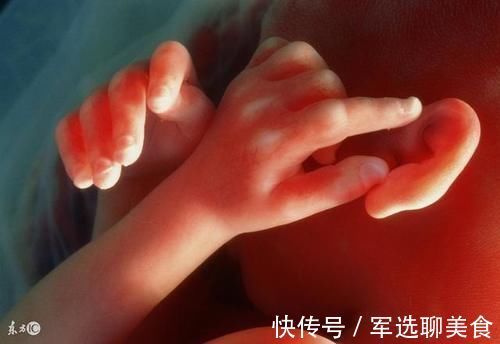 胚胎|小孩一周到四十周,怀孕的胎儿是怎么变化的?