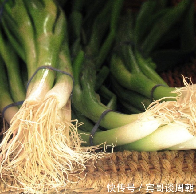 风热|咳嗽频发当零食吃几颗,排出毒素,润肺止咳,冬天不咳嗽