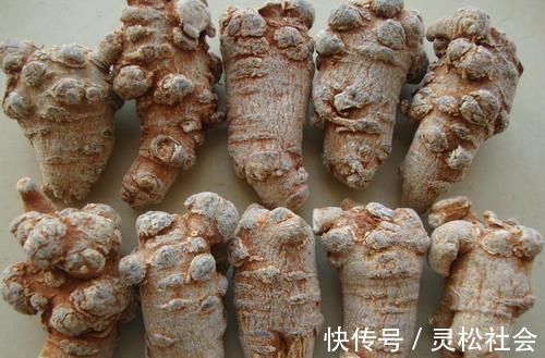 血管|李时珍称它为“金不换”,每天吃一点,血管干净了,血脂也降下来