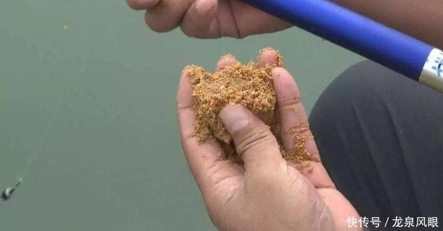 鱼饵“状态”怎么玩?看看啥鱼爱吃啥状态吧,看懂后上鱼几率大增