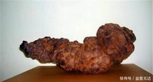 高血压患者|此物被称为高血压的克星,没事喝一点,平稳血压,还降脂降糖