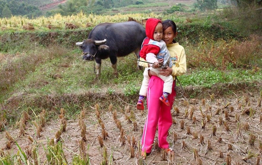 山洞|母狼送给猎户个婴儿，猎户好心抚养20年，婴儿长大后发大财
