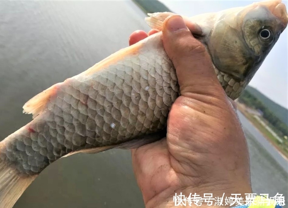 详细解读调四钓二，通过分析，才知道有些场景根本不适合调四钓二