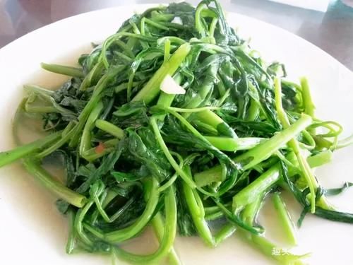  补充|想长寿要会吃，3种食物离不开，补充营养，身体棒棒哒！