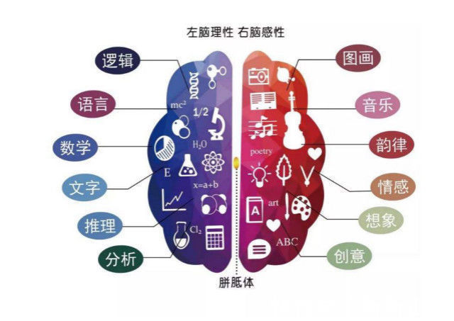 抓住3-6岁右脑开发黄金期，掌握4个技巧，给孩子一个超强大脑