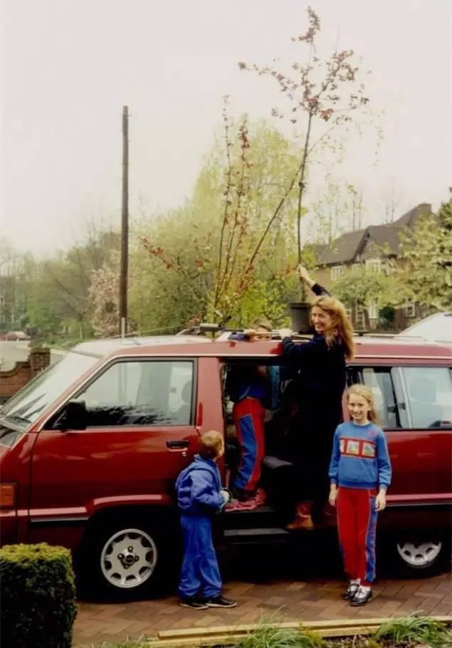  绝美|7旬夫妻用27年建绝美花园，全球花友慕名来“探花”