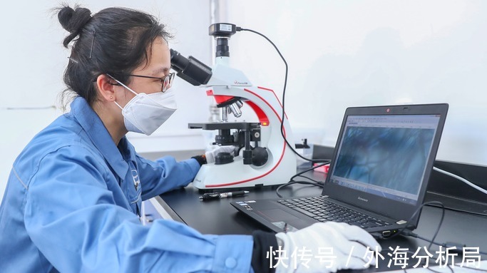 海哥|越封锁越强大!新兴企业良品率高达99%,中国或彻底摆脱“芯荒”