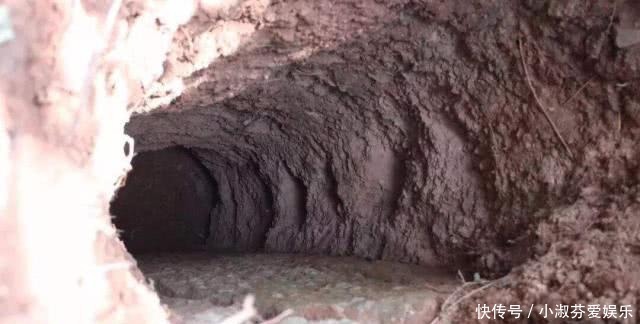 来打山鸡|盗墓贼谎称打野鸡进村盗墓,盗取“黄金宝剑”,卖200万后被抓