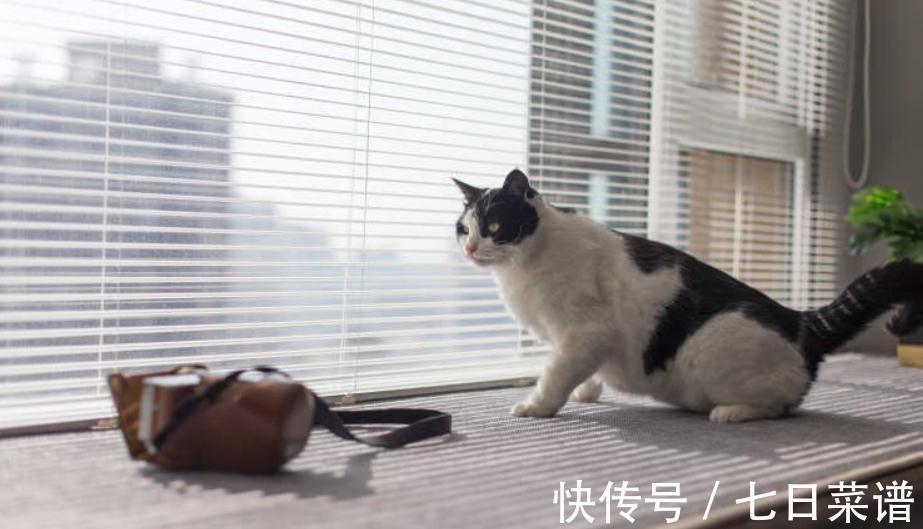 墨绿色|凭窗眺望都市风光,用现代风谱写空间乐章,感受慢节奏的美好生活