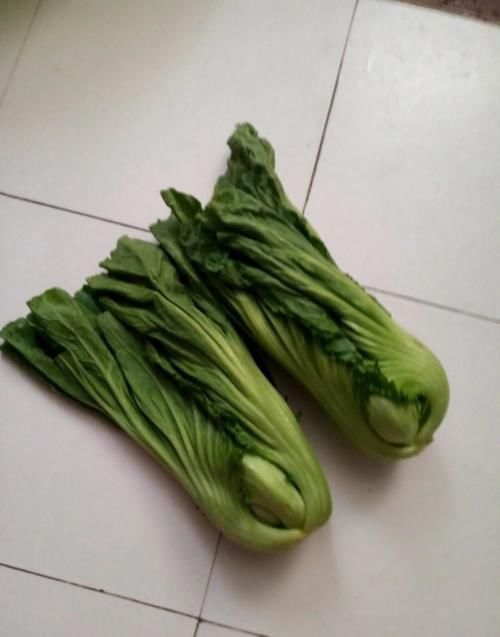 口感|冬天很多人“怕吃”这菜,营养不输萝卜白菜,处理好后开胃又解腻