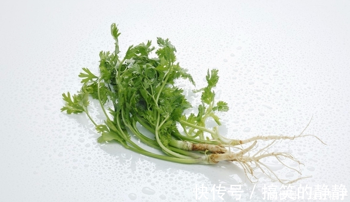 加丁香|用香菜根煮水喝,坚持了5天,4个好处不请自来,早知早好