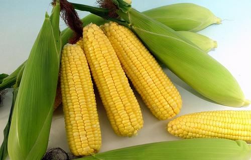 春天预防衰老，坚持吃的食物，滋补身体，滋润气血，女人更显年轻