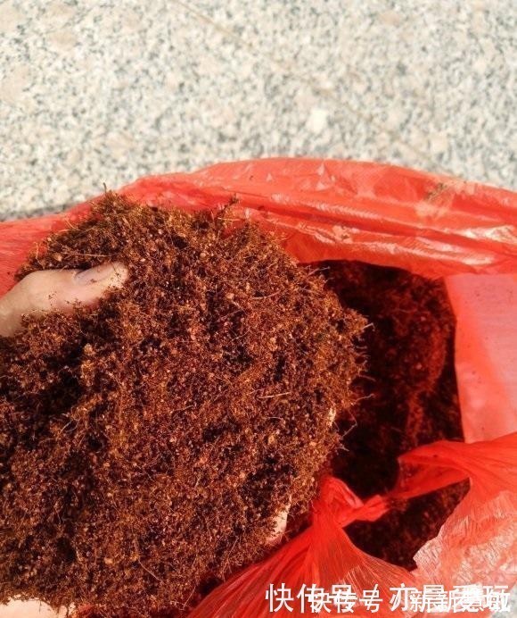 3块钱一块的椰砖，泡水变成椰糠，拿来养花行吗？不建议使用