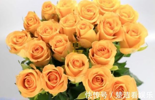 喜欢玫瑰,就养盆“高端品种”假日公主,花姿贵气,寓意美好