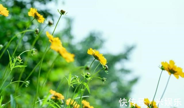 癌症晚期,那么多人会疼,特别疼,为什么呢