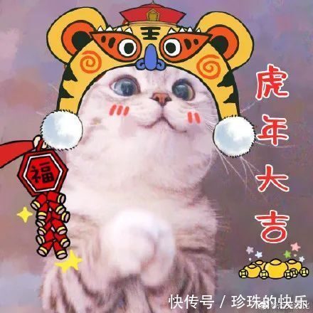 拜年|必存!新年拜年表情包丨第310期热门表情包