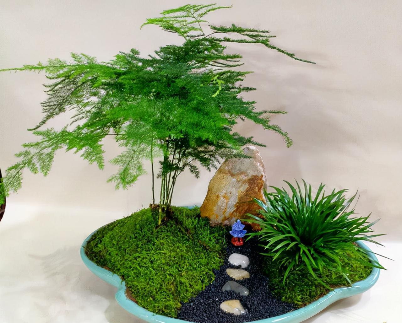 16种耐阴花,就算阳光不足,也能年年生长、开花