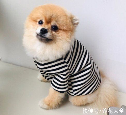 花花|家有旧衣服别急着扔,还有这些用途,适合心灵手巧的你