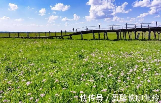 水草原|蜿蜒旖旎，滦河神韵，距离北京如此近的水草原