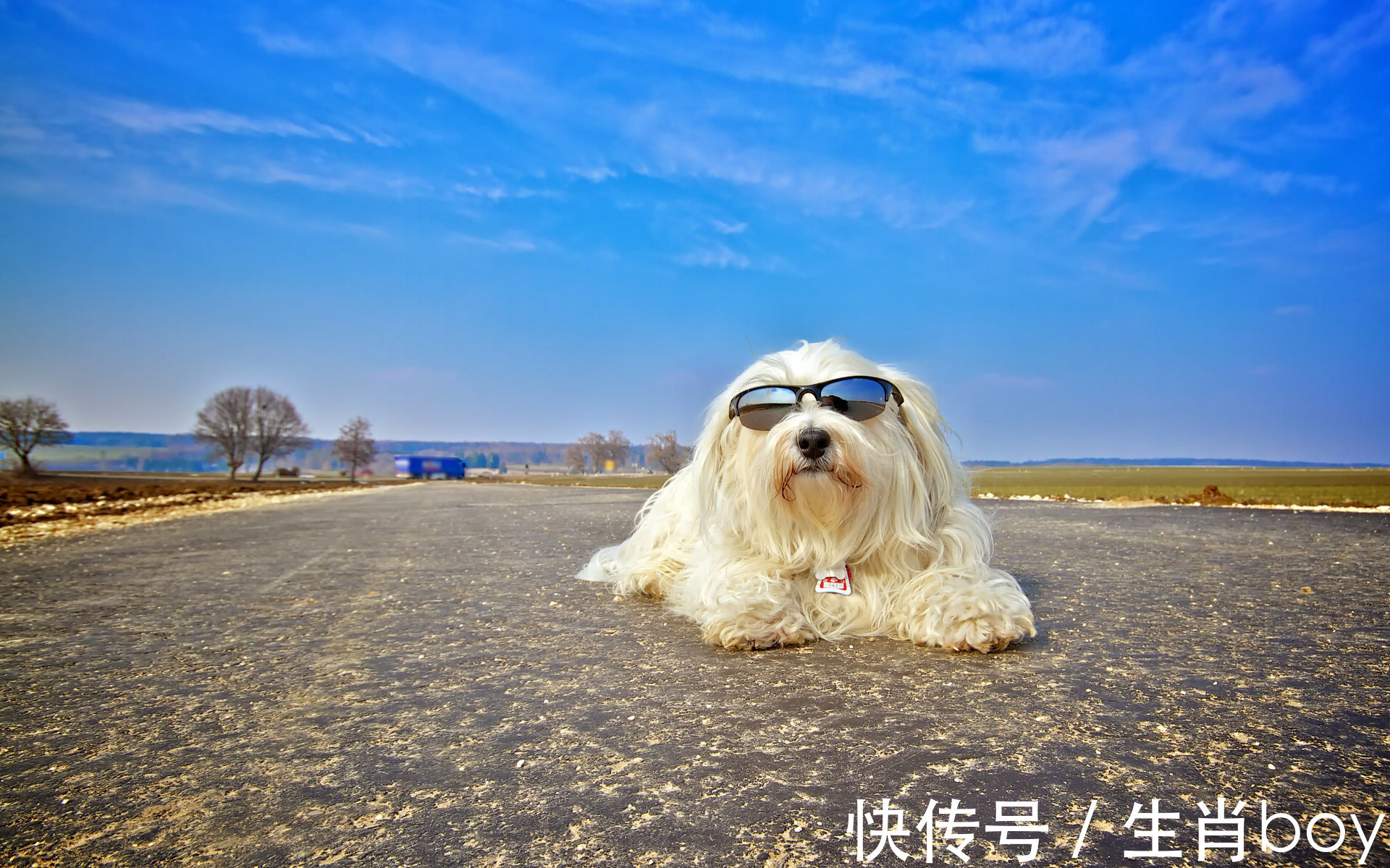 祖宗|不屑于玩心机的星座,如果非要玩,他们绝对是“祖宗”级别的