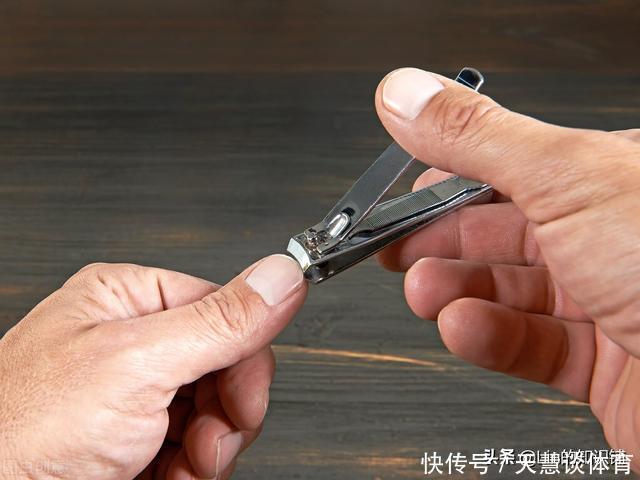 小熊维尼|12个冷知识:生活中不太可能会用到,但可以扩展你的知识面