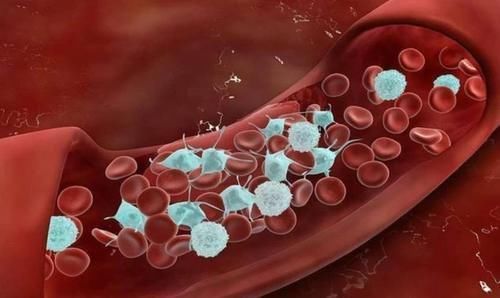 心血管疾病|胆固醇含量排行榜,鸡蛋只排第5,血脂高的人,第一名尽早远离