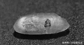 米袋|米袋里为何会凭空出现虫子,你吃的每碗饭里,都可能有他们的痕迹