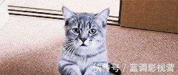 面對(duì)鏡頭|《非誠(chéng)勿擾》火了八年，不僅都是托，原來(lái)女嘉賓都是這樣來(lái)的！