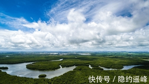 财运|10月21号起，傲气十足，永不服输，3大生肖好运将至，财运逆天，注定不凡