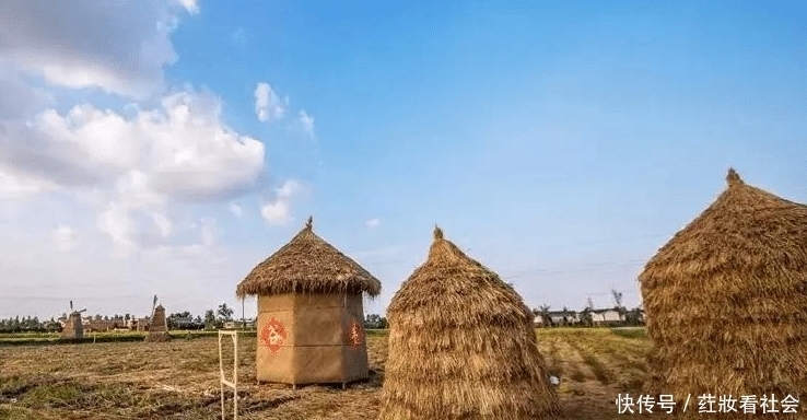 夸人|人们常说的:四体不勤,五谷不分,意思是骂人还是夸人呢?